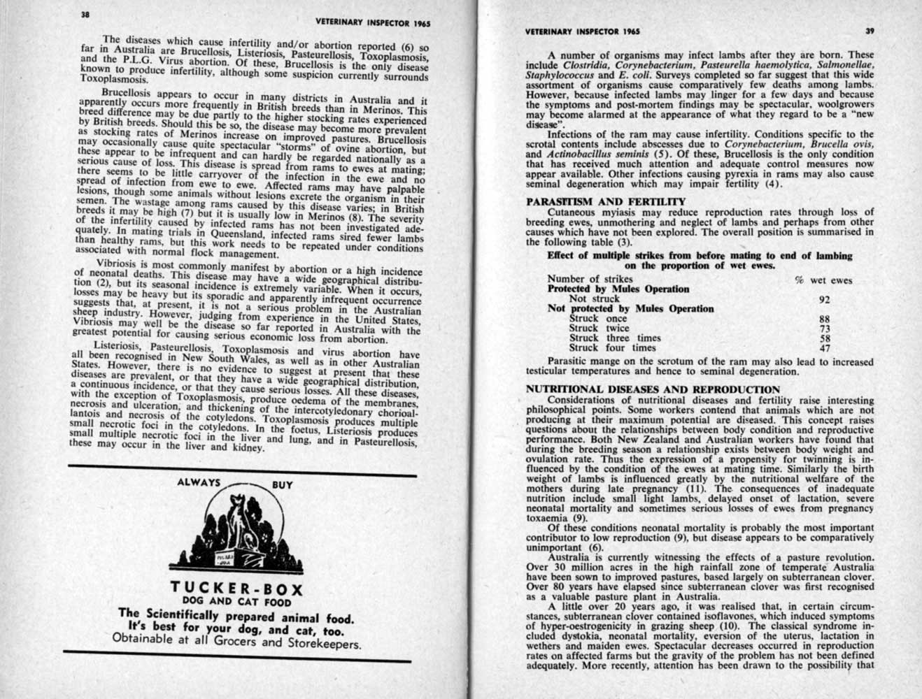 1965 Page 38 39